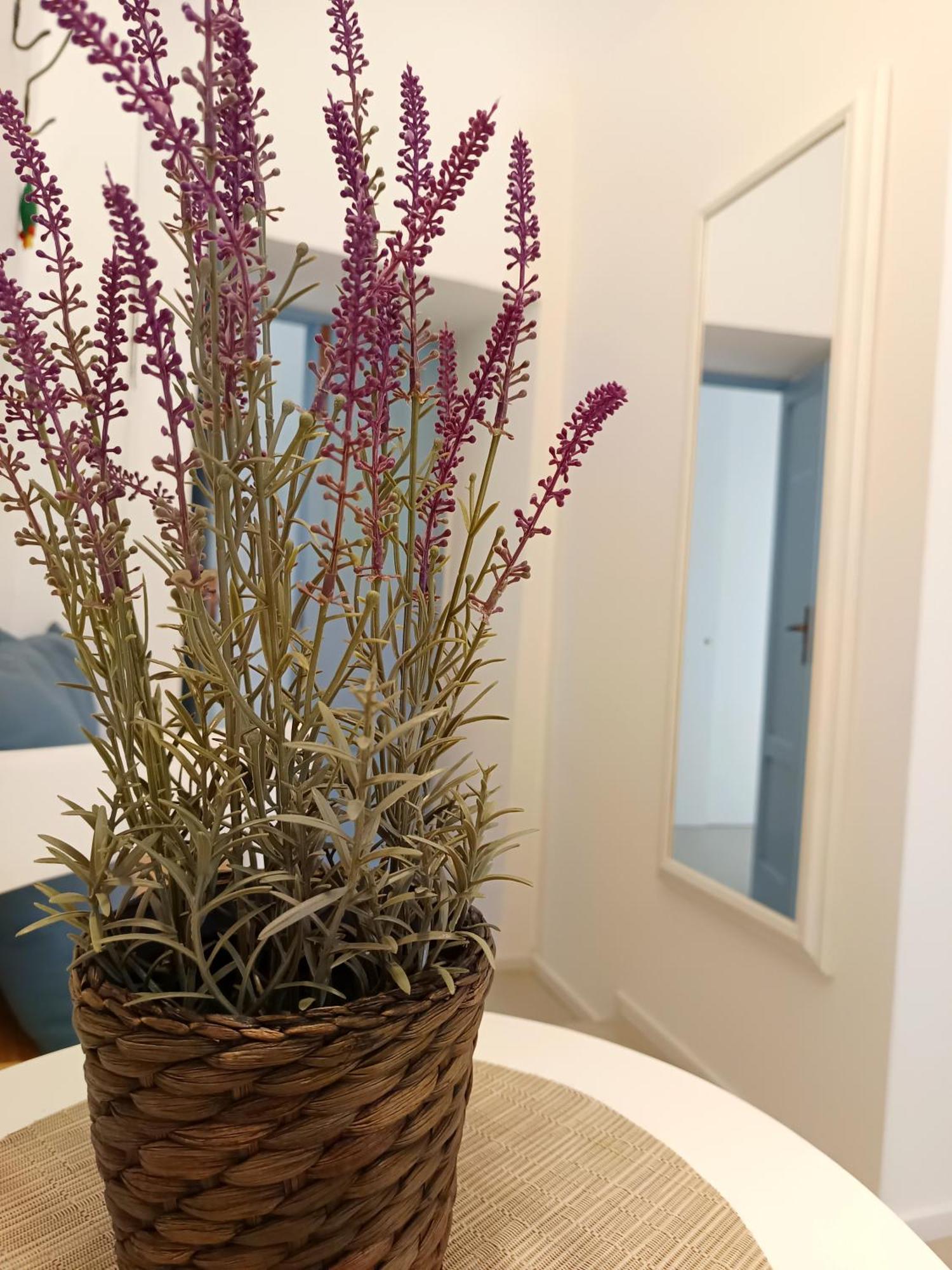 B&B Sedilequattro Кастеланета Екстериор снимка